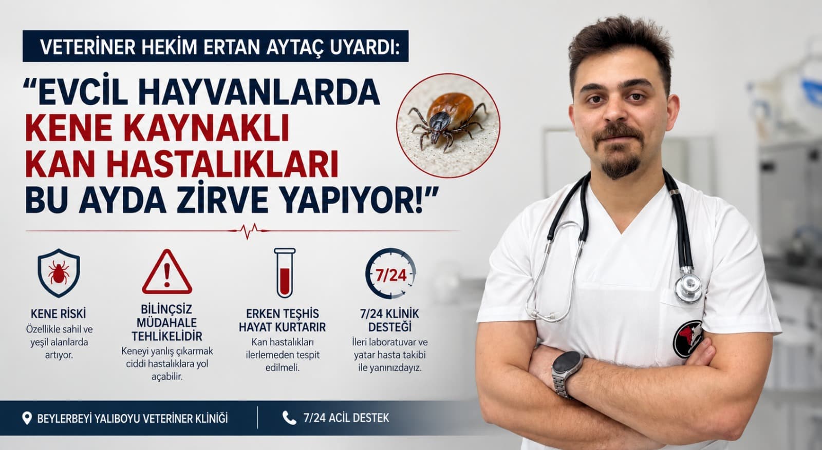 VETERİNER HEKİM ERTAN AYTAÇ UYARDI: "EVCİL HAYVANLARDA KENE KAYNAKLI KAN HASTALIKLARI BU AYDA ZİRVE YAPIYOR!"
