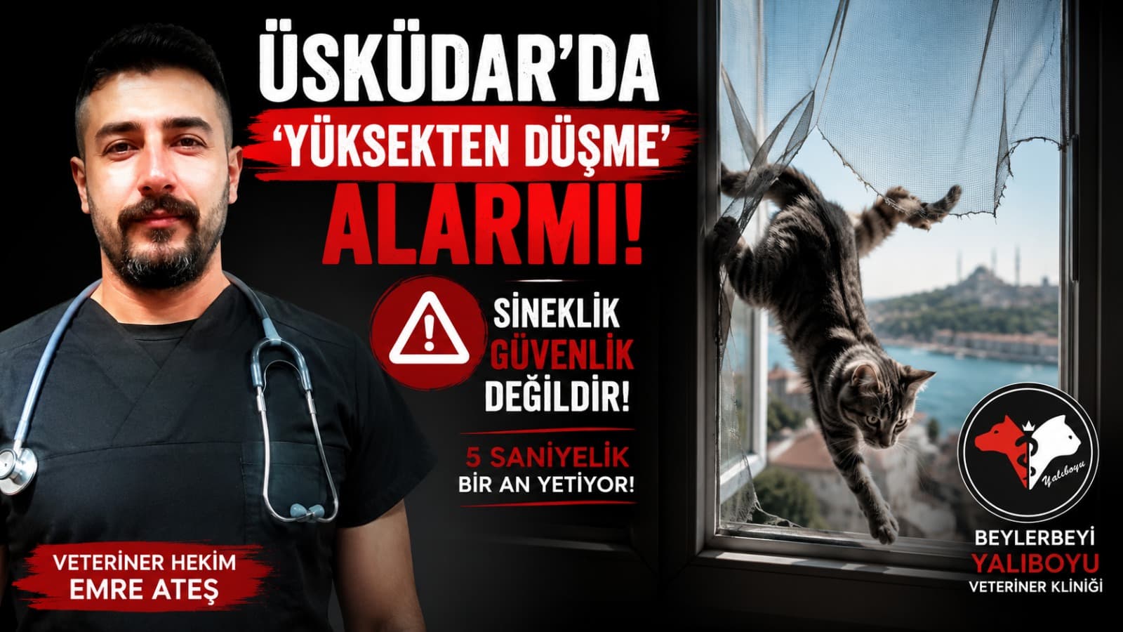 ÜSKÜDAR’DA 'YÜKSEKTEN DÜŞME' ALARMI! VETERİNER HEKİM EMRE ATEŞ UYARDI: "SİNEKLİK GÜVENLİK DEĞİLDİR, 5 SANİYELİK BİR AN YETİYOR!"