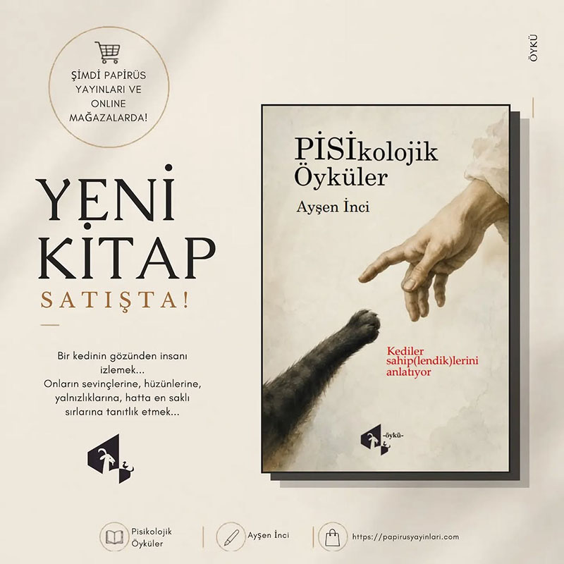 aysen inci-pisikolojik öyküler
